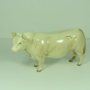 #2463A Charolais Bull