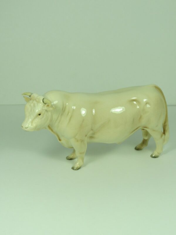 #2463A Charolais Bull