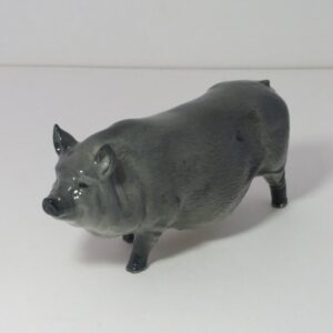 #695 Vietnamese Pot-Bellied Pig