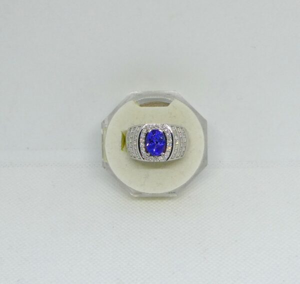 #3989 Unisex 14ct White Gold Tanzanite & Diamond Ring (Value: $8,390.00)