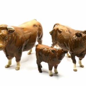 Rare Set of Limousin Cattle