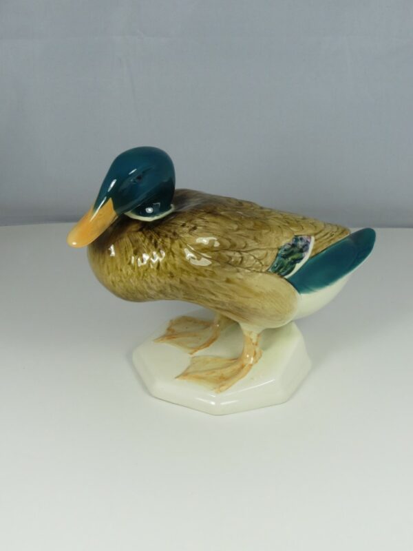 #817/2 Mallard Duck - Squatting